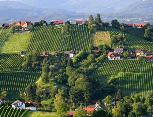 AUSTRIA – Golfe & Vinho