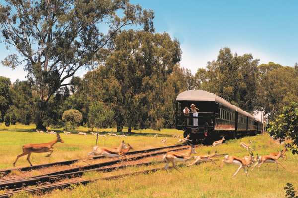 muitas experiências durante a viagem de trem Rovos Rail Safaris na África do Sul