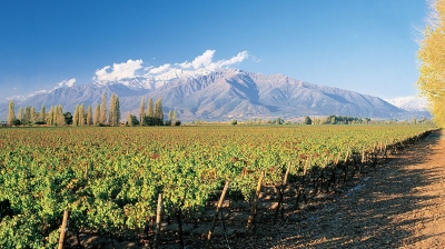 vinicola perto de Santiago de Chile no Patagonia Chile