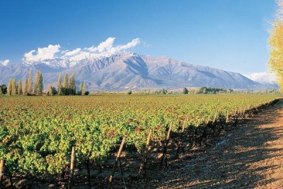 A fazenda de vinho Santa Rita perto de Santiago de Chile